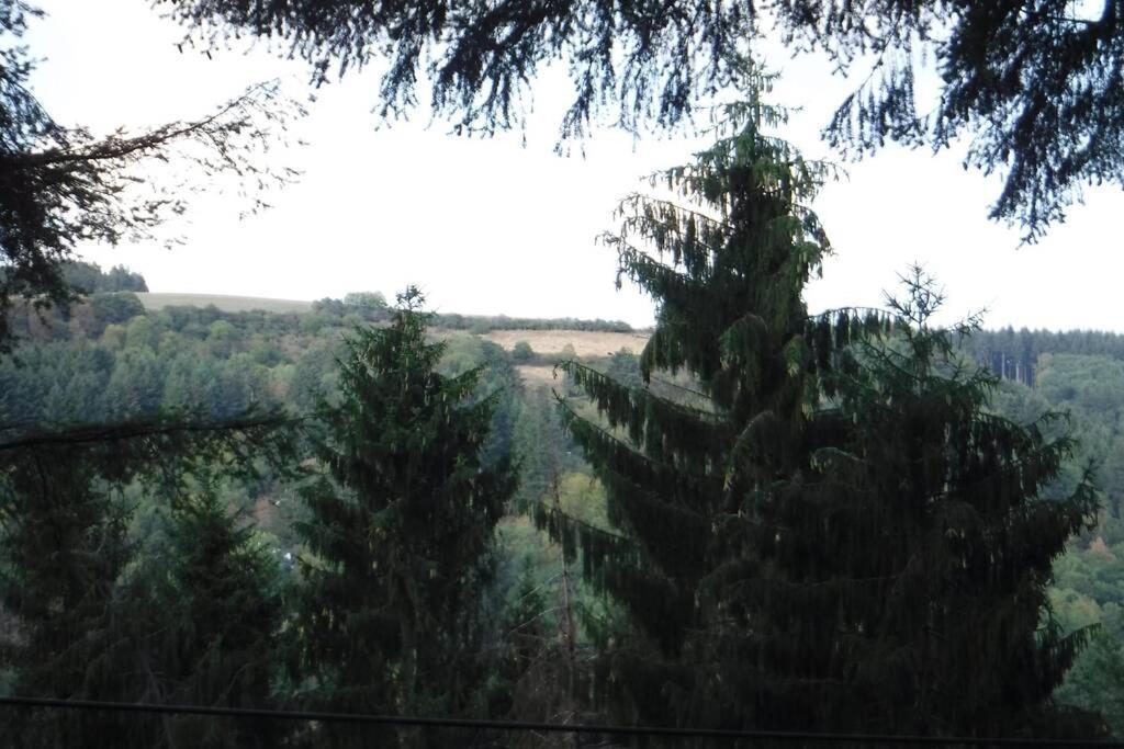 The Vianden Cottage - Charming Cottage In The Forest Eksteriør bilde