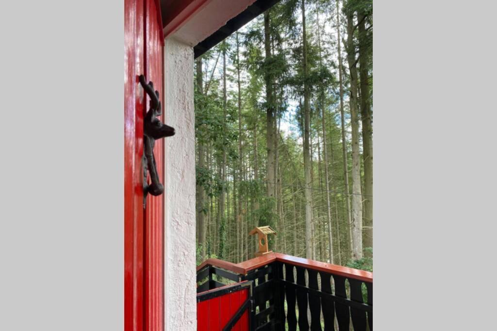 The Vianden Cottage - Charming Cottage In The Forest Eksteriør bilde